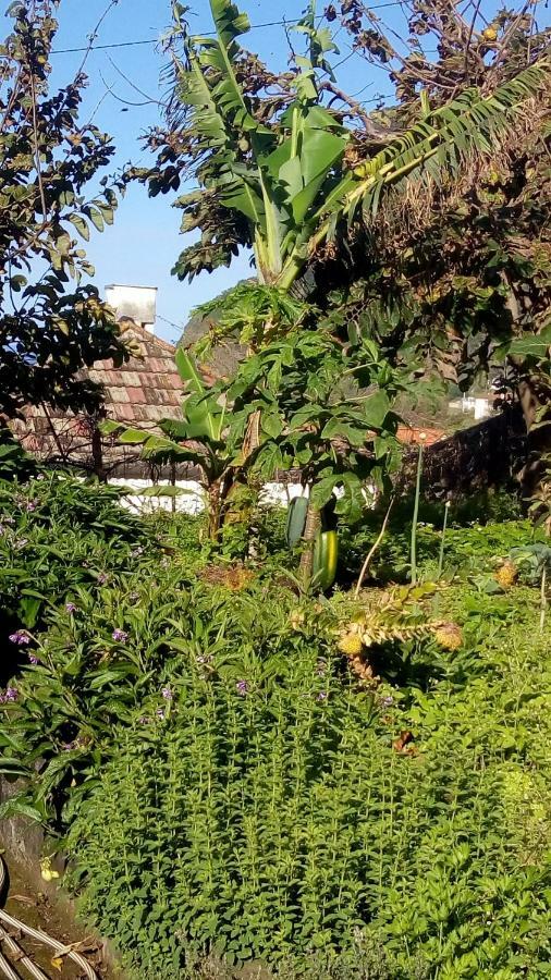 فيلا Casa Reizinho سانتانا المظهر الخارجي الصورة